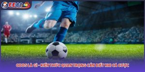 Odds Là Gì - Kiến Thức Quan Trọng Cần Biết Khi Cá Cược